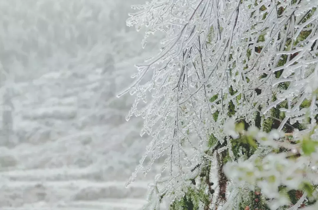 不用去看故宫的雪！钱塘江畔的冰雪霸屏了……美翻了整个江南！