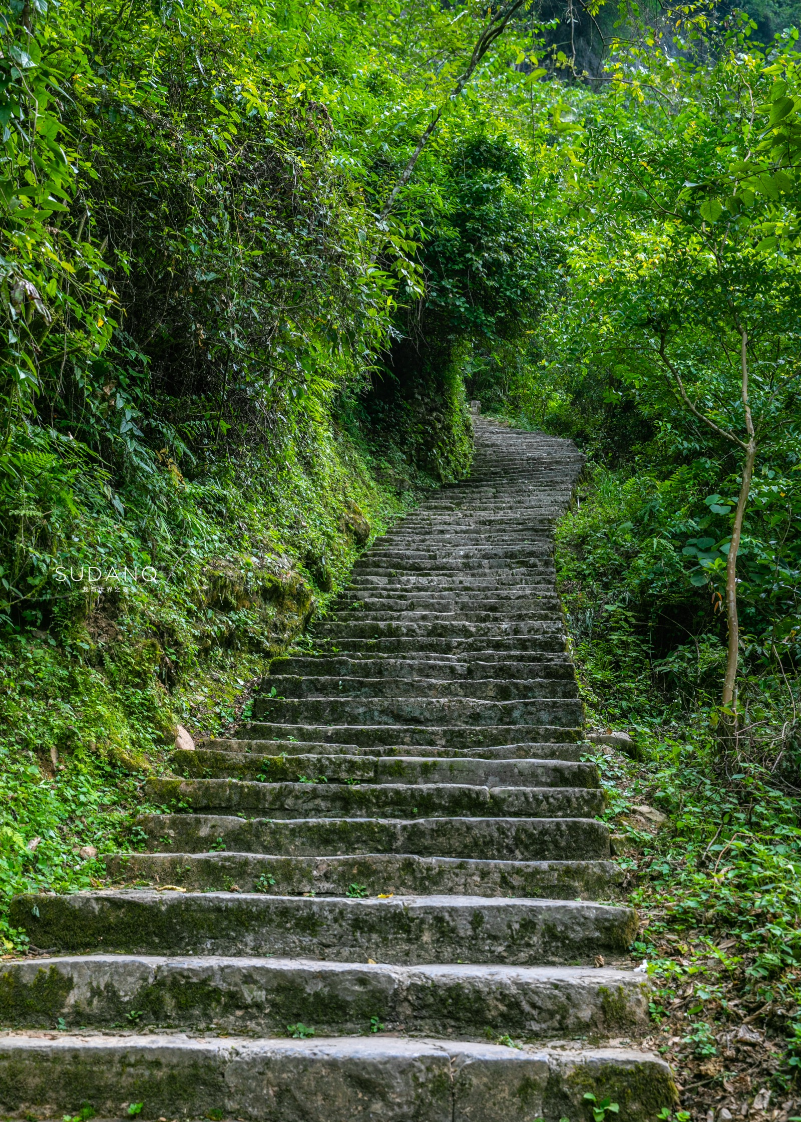 Secret Hubei Tour: Enshi Earth Heart Valley, named "China's Most Beautiful Wonderland" by CNN