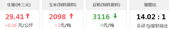 今日猪价！中小散户占比47.7%！两会委员发声：不能放弃散养户