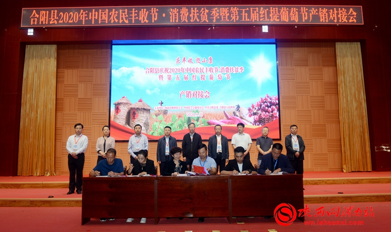 合陽縣2020年農民豐收節(jié)產銷對接會成功舉辦 簽約9個項目 金額達1.2億元（組圖）