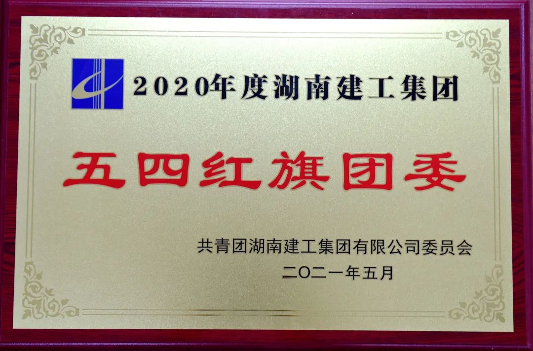 铮铮青年耀党徽，五四表彰满载归