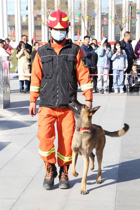 甘肃平凉：消防救援犬首次亮相 居民群众集体学消防