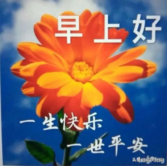 清晨早上好的问候语和唯美图片大全图片