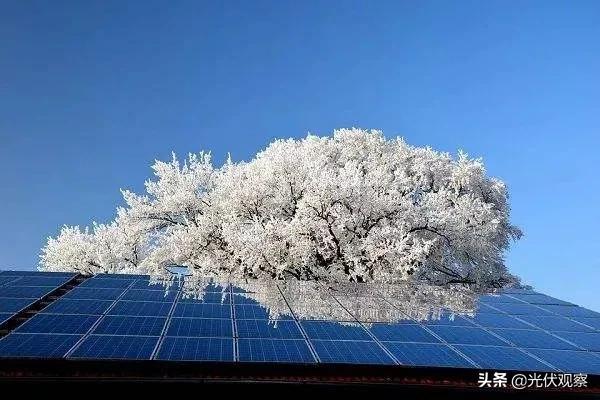 光伏行业2021年度展望：拥硅为王