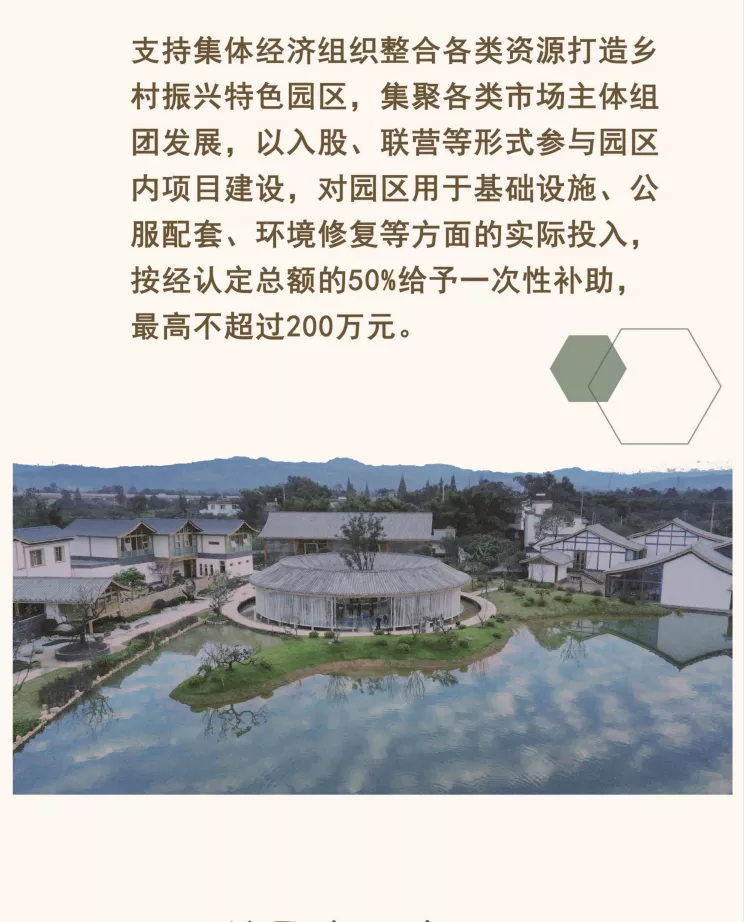 乡村振兴高质量发展十条政策