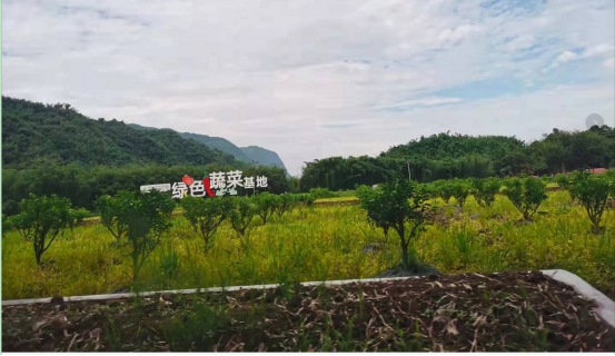 四川省长宁县：做活“水土文章”保持“永江样板”