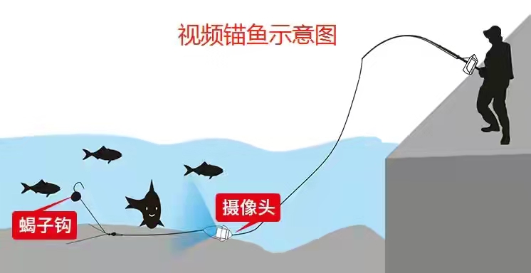 山东首禁：黑科技“灭绝式”暴力锚鱼，可视锚鱼器为何成为禁器？