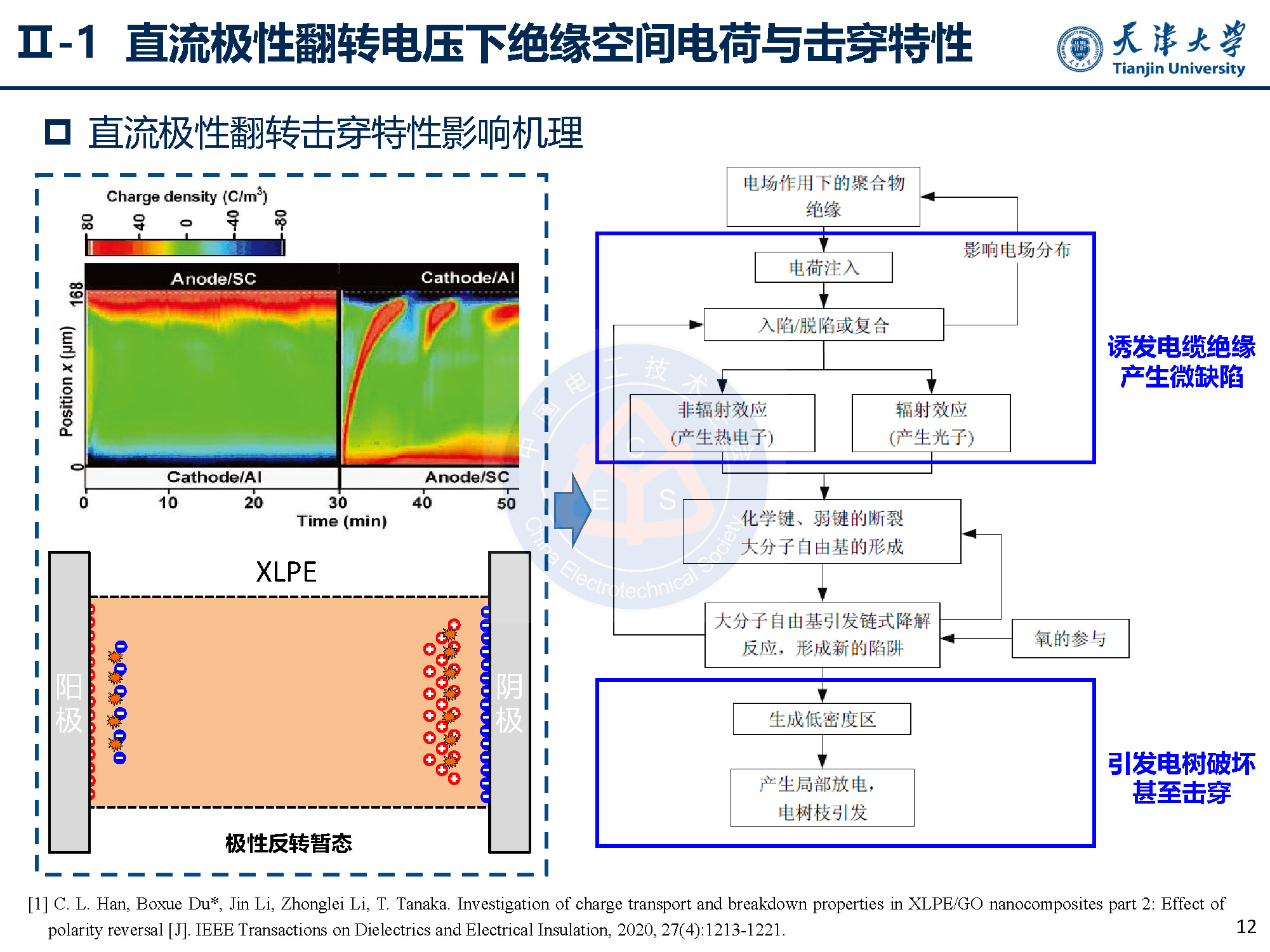 天大李忠磊副教授：多物理场下直流电缆绝缘电荷输运与击穿特性