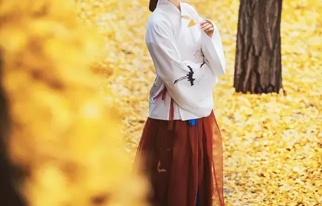 汉服,中国人的衣服