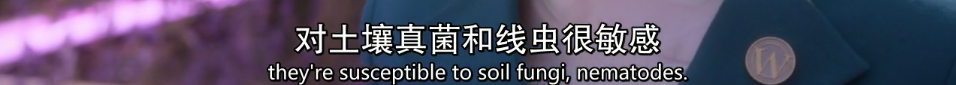 一集被骂烂，我替大神不服