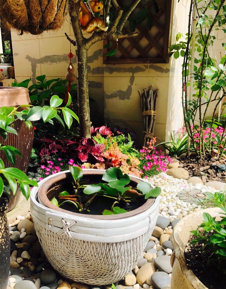 DIY打造65㎡庭院花园，累并快乐着，网友：做你邻居太幸福了