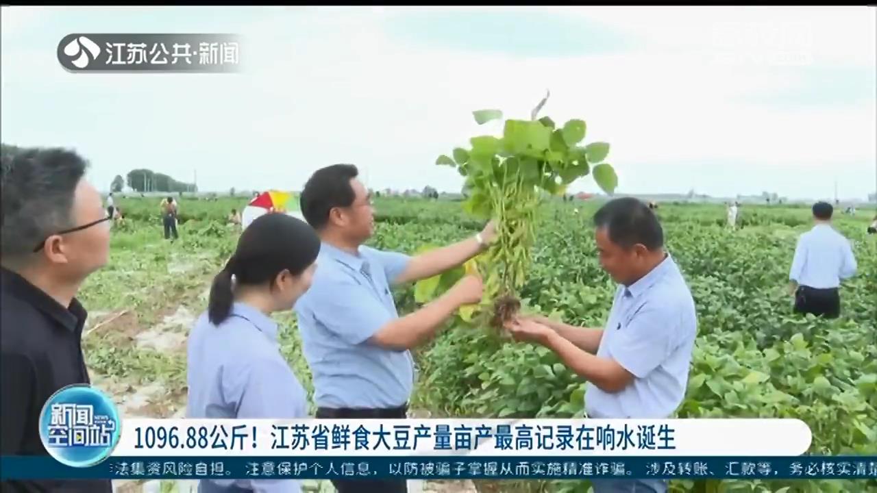 1096.88公斤！江苏省鲜食大豆产量亩产最高记录在响水诞生