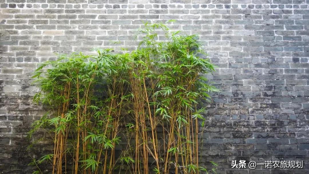 鄉(xiāng)村景觀設(shè)計(jì)中的10個(gè)小細(xì)節(jié)