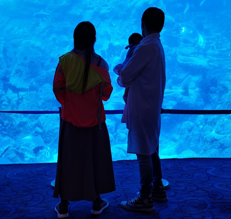 向佐一家三口逛海洋館！郭碧婷背影厚實(shí)疑發(fā)福，半歲女兒手胖嘟嘟