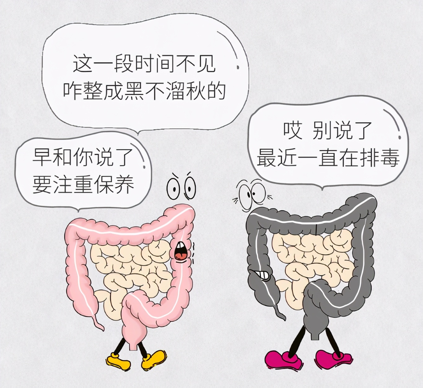 追求“清肠”、“通便”，喝“养生茶”，可知这里头危害有多大？