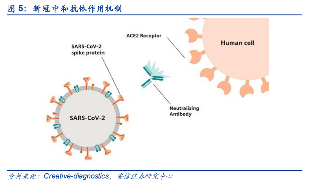 新冠药物行业专题报告：疫情长期化可能性下的最后一道防线