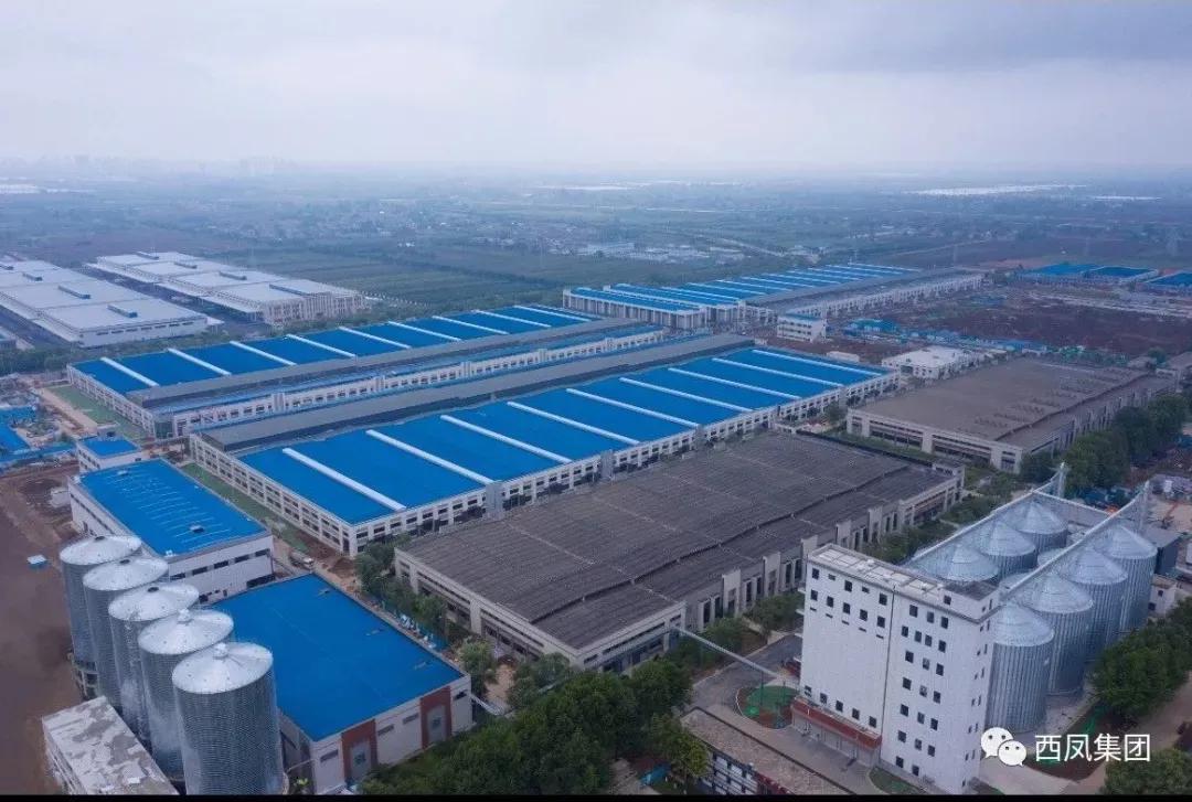 高举圣火 在名酒复兴的全新赛道上一路向前