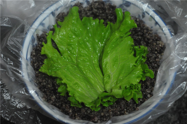 不用大米也能做，超營養飯糰，5分鐘搞定，兒子1口氣能吃2個