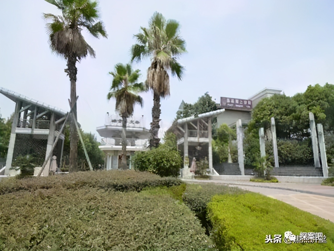 现代大案纪实：1个人死了两次？扑朔迷离的南京将军山恶性杀人案