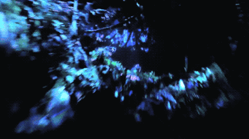 伤害性不高，侮辱性极强！时隔11年后《阿凡达》