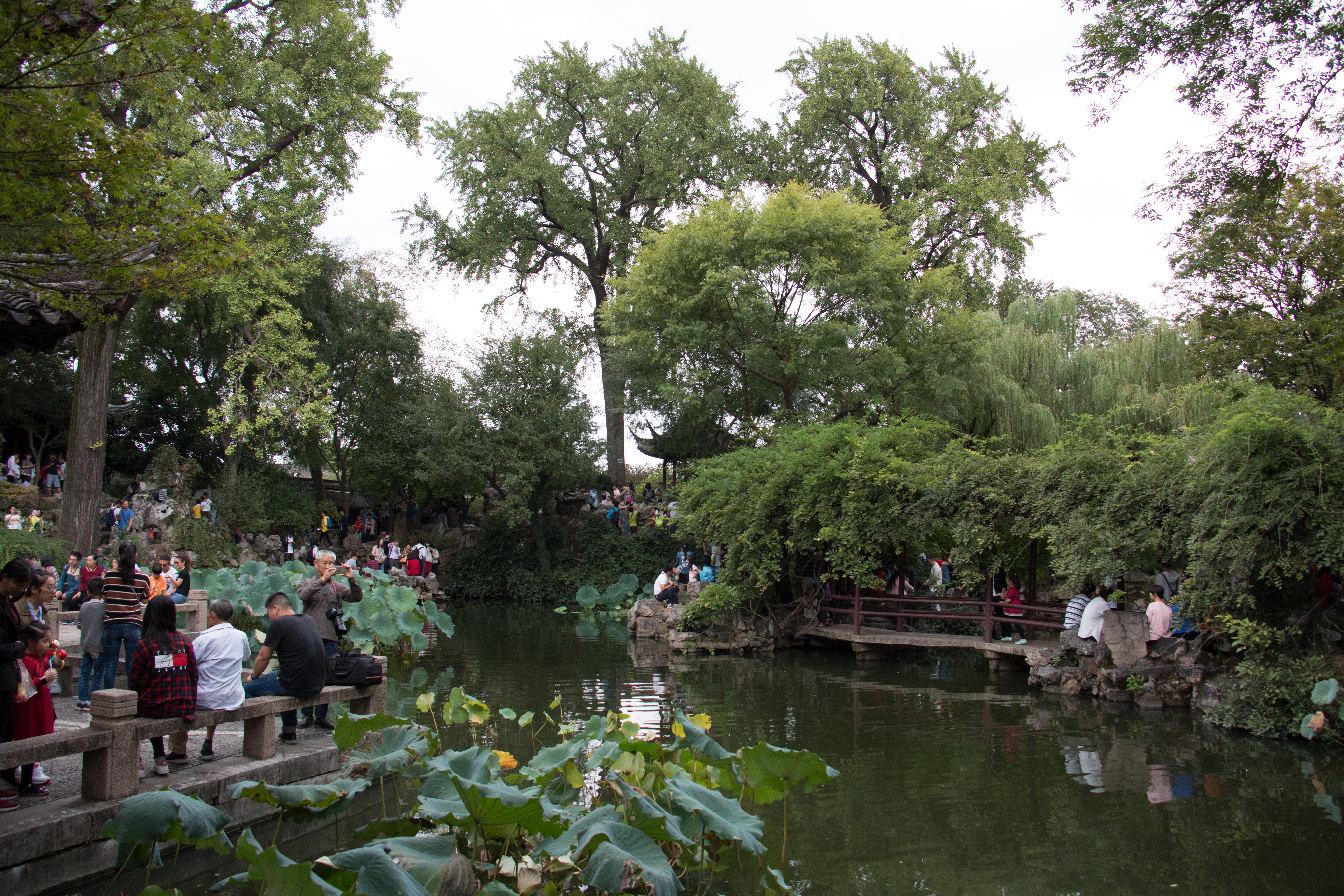 蘇州留園，吳下名園之冠，中國四大名園，世界建筑空間藝術典范