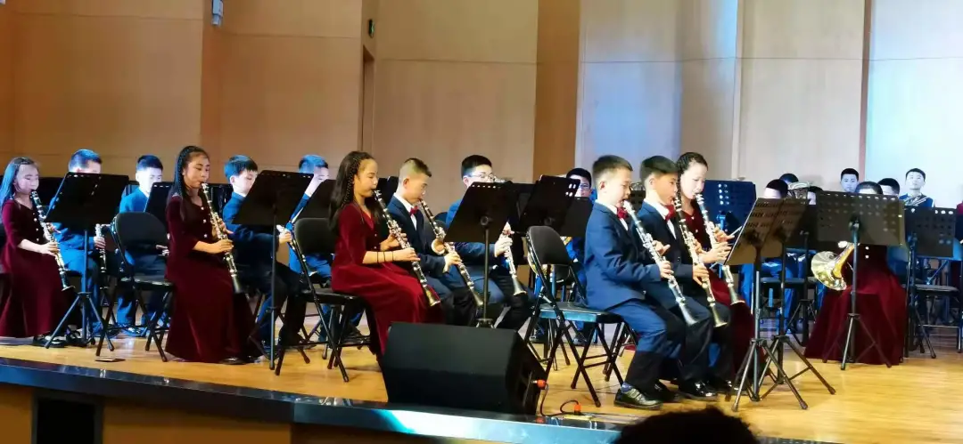 阳光下成长丨成都市双流区棠湖小学参加区第十三届中小学艺术节