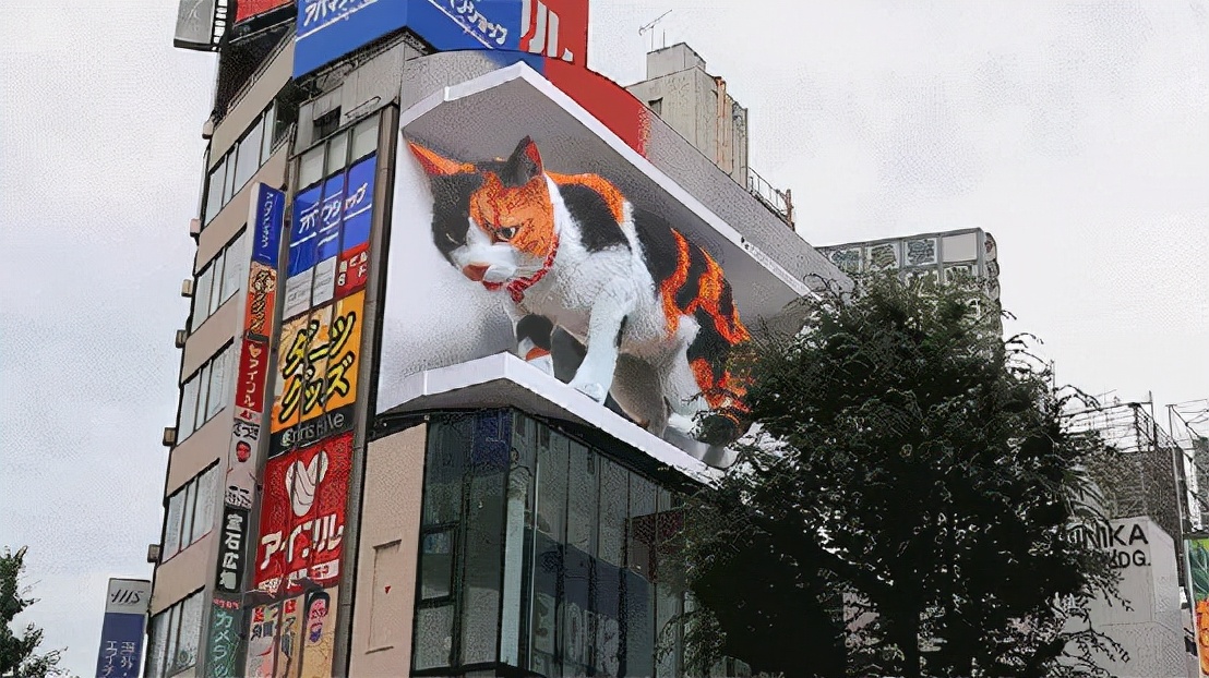 ������棬�����ܰ����ʡһ�����
