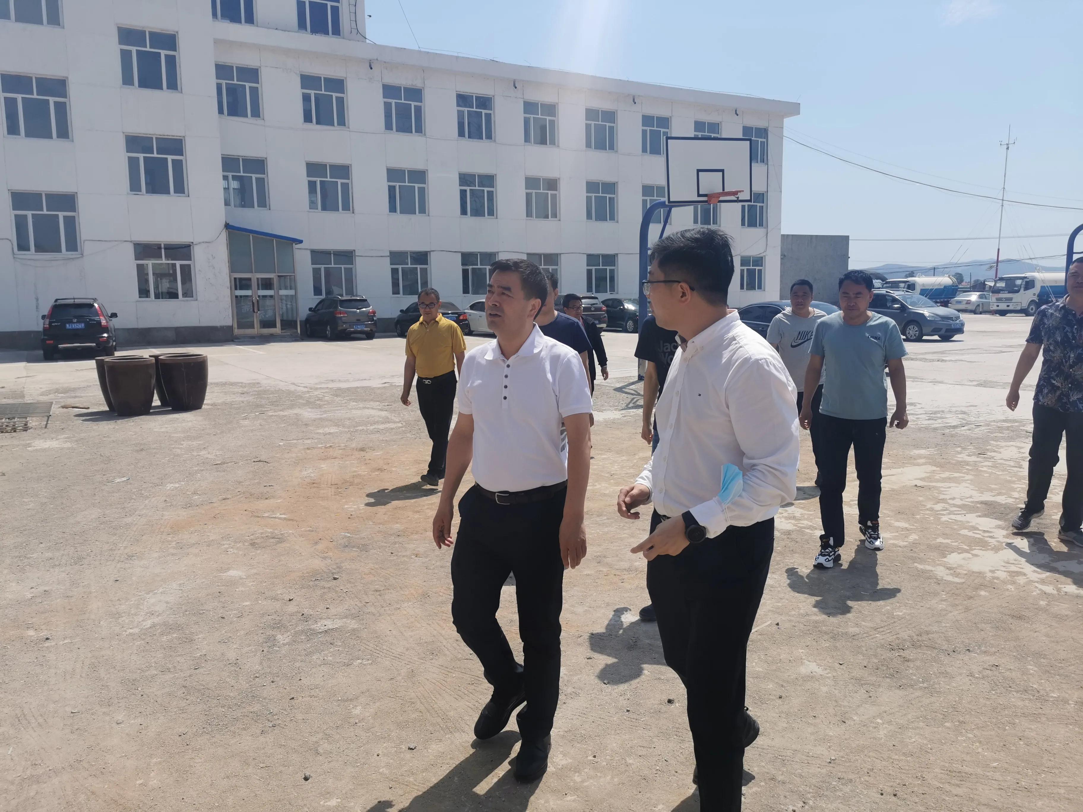 宝清县委副书记、县长徐斌义深入党建联系点夹信镇调研指导工作