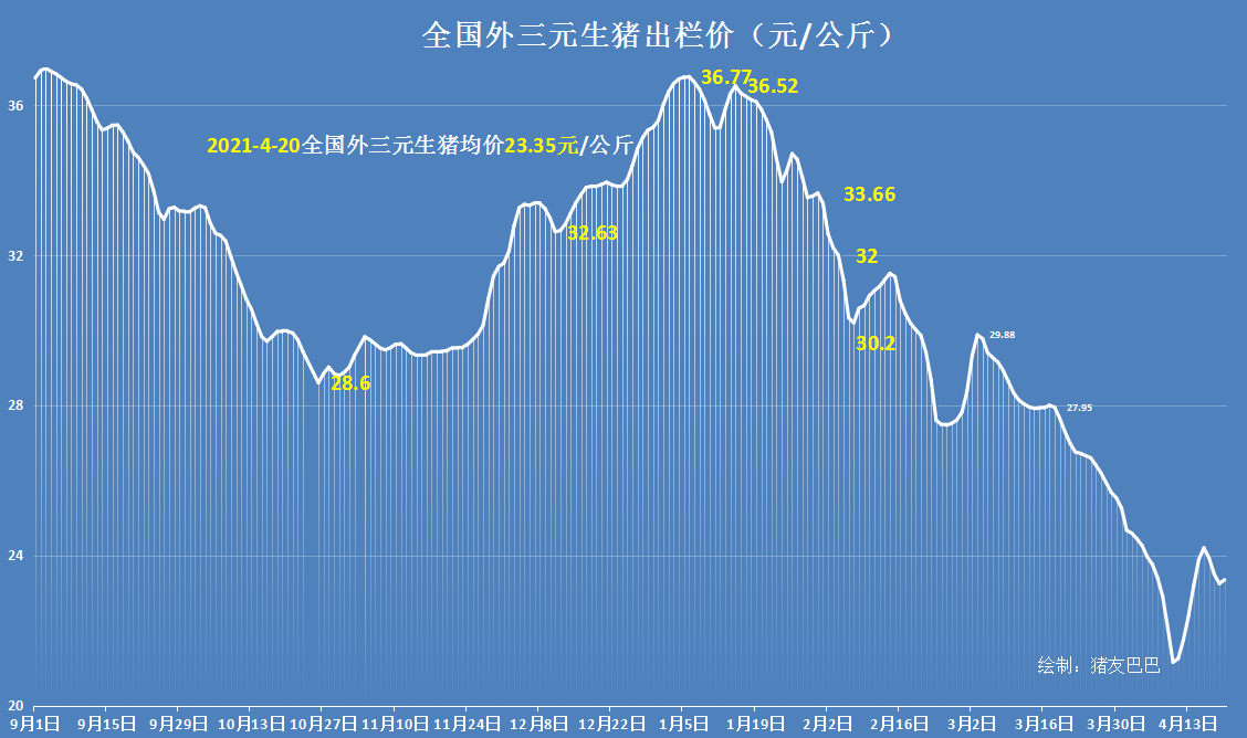 4月20日，猪价连跌止步，行情触底上涨，机构：游资抄底利润颇丰