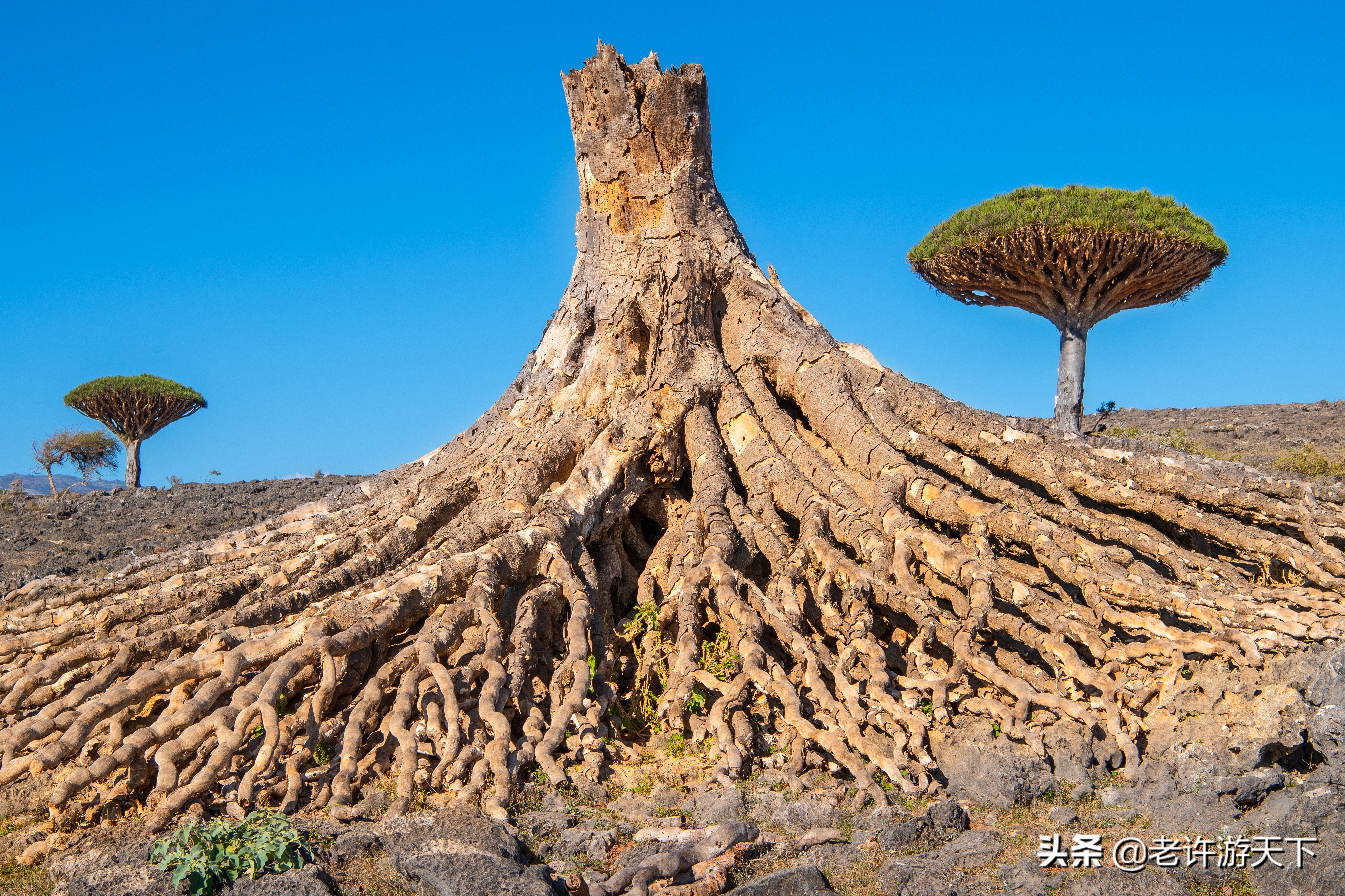 世界上最難去的10個(gè)國(guó)家和地區(qū)，邁過(guò)這些坎，周游世界就不是問(wèn)題