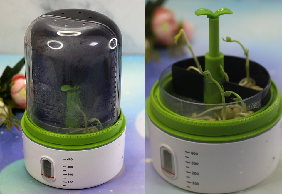 亲子互动趣味体验,科学罐头孟德尔植物培育舱