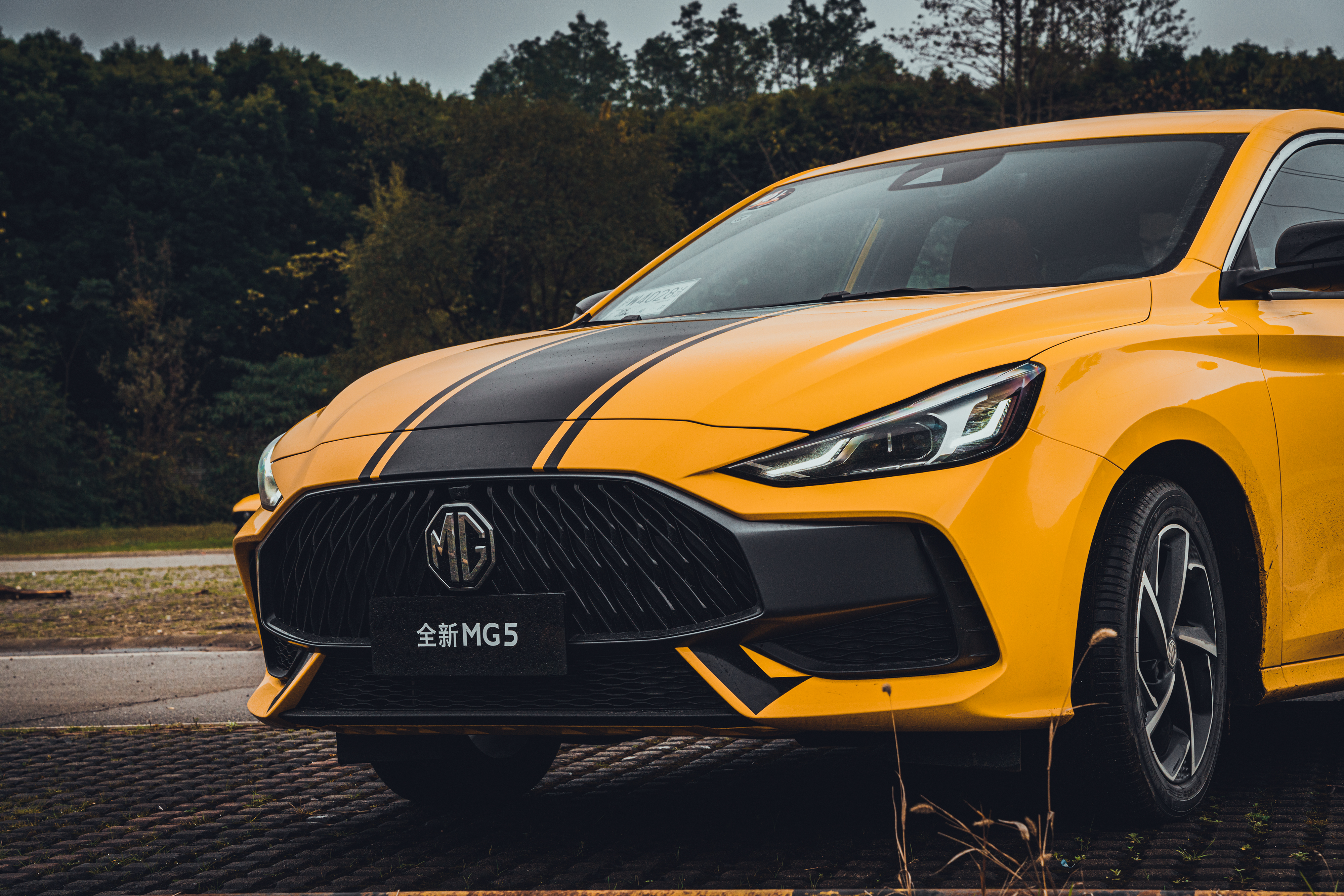 骚气的皮囊下，有趣的灵魂也要能“运动”