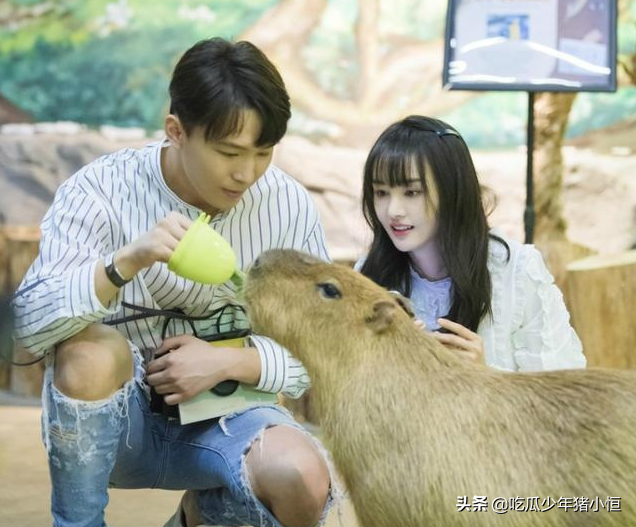 郑爽懒理自己的八卦，退圈后首发文，网友感叹