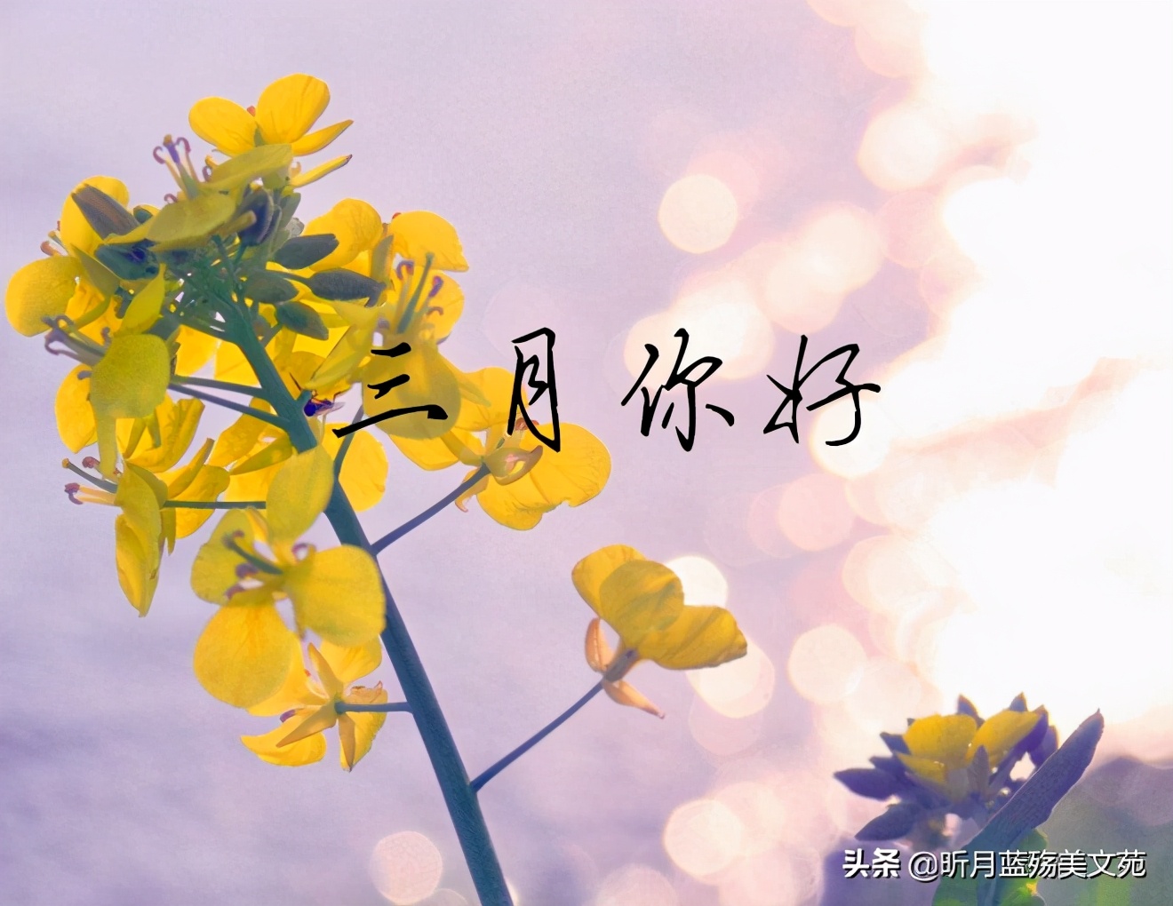2021再见二月 你好三月说说图片