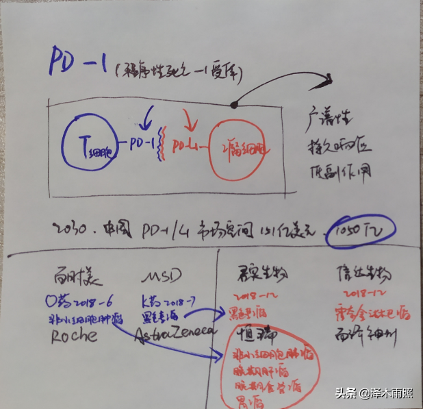 「恒瑞医药」万亿市值，应当有他一席之地2020-10-07
