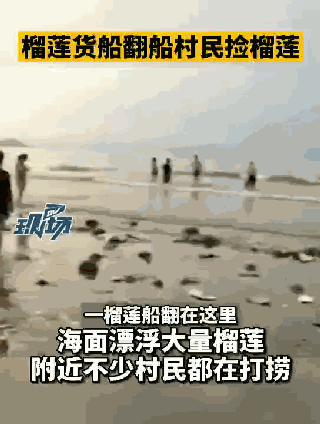 ؛(c)ɏƯM棡񼊼_܇