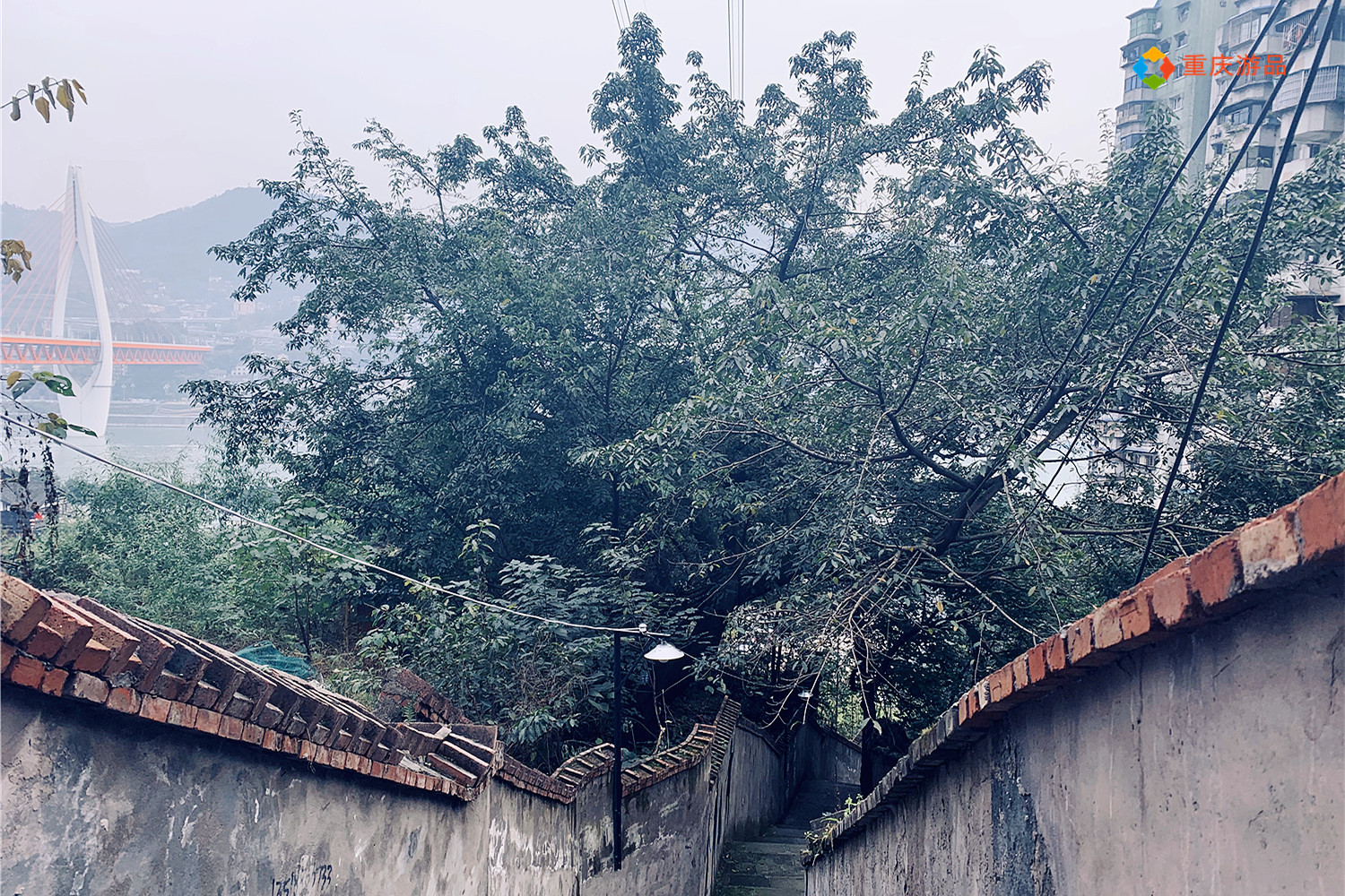 重庆冷知识：望龙门为什么没有门？和对面的龙门浩有关系