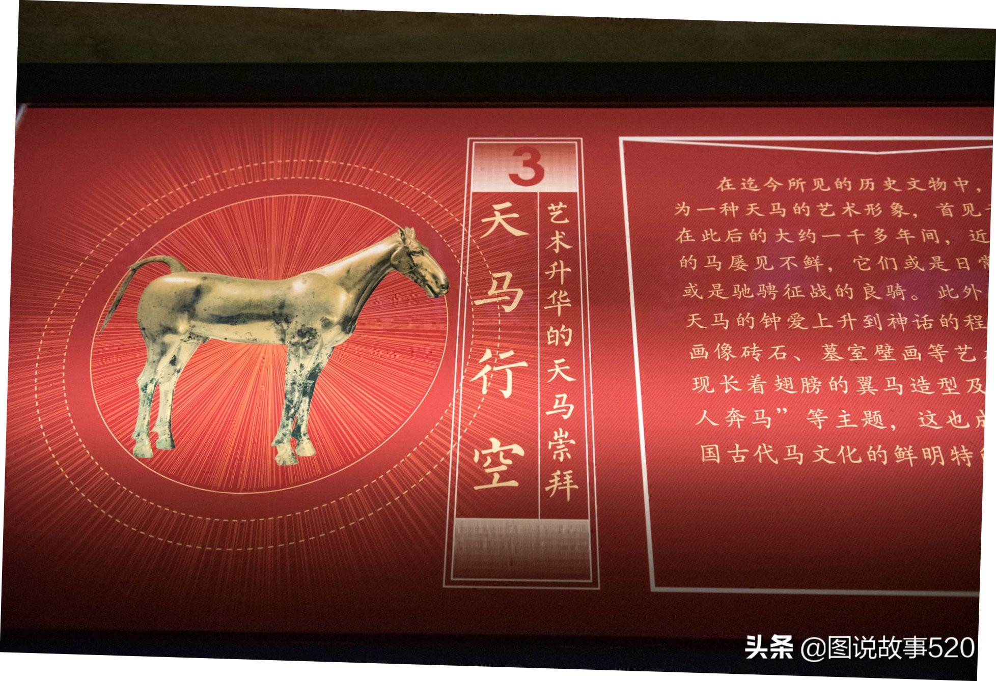 汗血寶馬多少錢一匹,純種汗血寶馬多少錢一匹