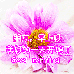 温馨的早安祝福语 早安问候语大全图片