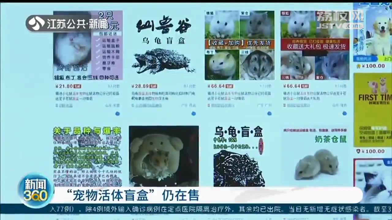 侵略物种巴西龟装进&ldquo;宠物活体盲盒&rdquo;，这种&ldquo;带血的生意&rdquo;该管管了