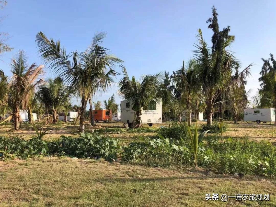 案例：乡村振兴项目政策和补贴