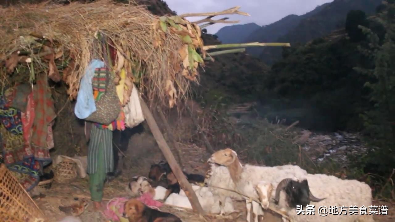 中国小伙给尼泊尔山区三姐弟送牛肉，看到她们的生活状况，真心酸