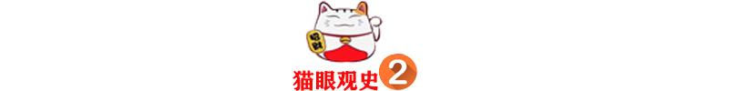 皮定均：毛主席破格提为中将，晚年遇空难身亡，妻子含泪提出质疑
