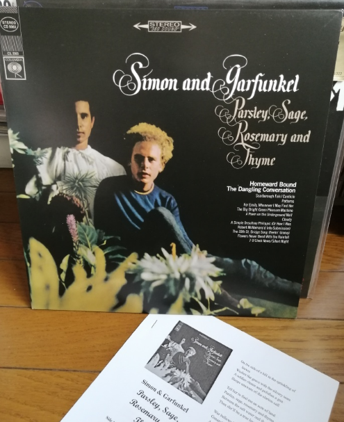 中产阶级迷茫，大学毕业生困惑，垮掉的一代名