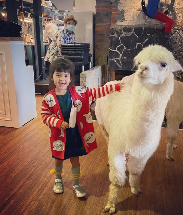 賈靜雯帶娃外出過週末，波妞熊抱羊駝超大膽，門牙脫落笑容很喜感