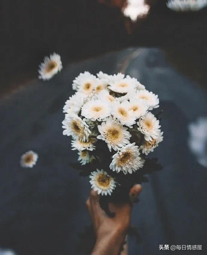 如阳光般励志的正能量句子