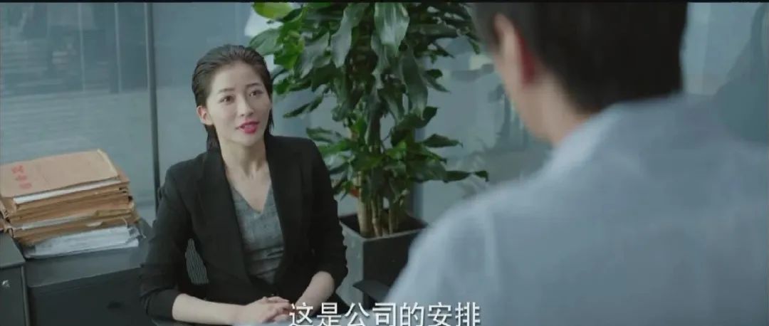 电视剧|双男主职场剧《平凡的荣耀》：赵又廷白敬亭师徒组合形象大改