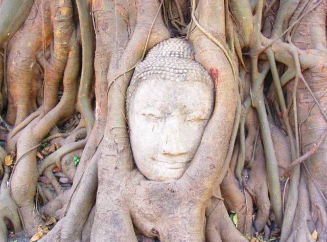 �ҹ�����δ��֮�գ�һ��ǧ��������������һ�����