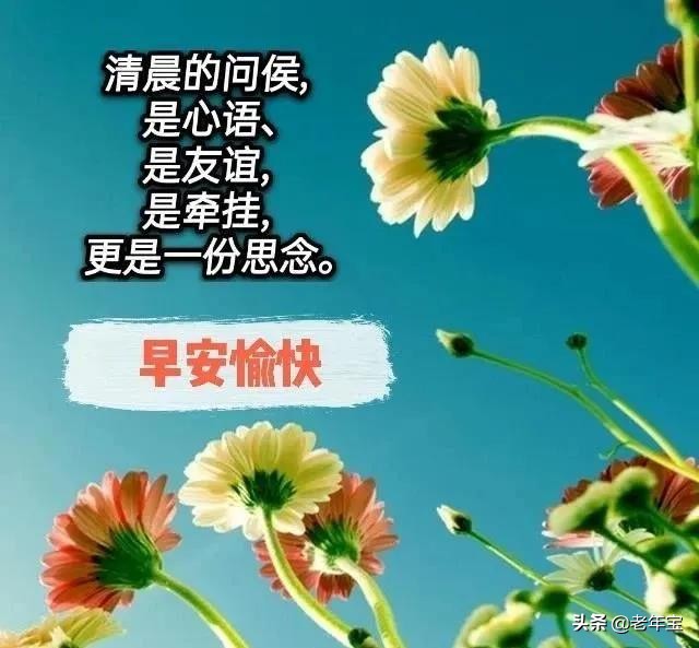 最新周一早上好表情图 周一早安暖心问候图片图片