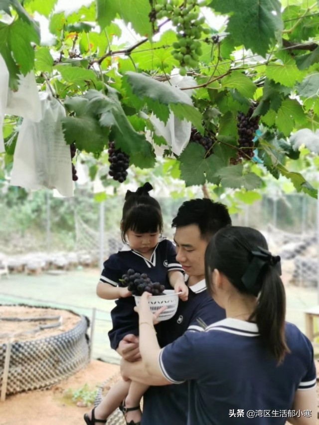 你心中的田园生活是怎样的呢？东莞周边乡野美景